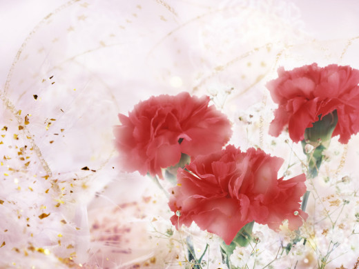 426251 (a): :1600x1200